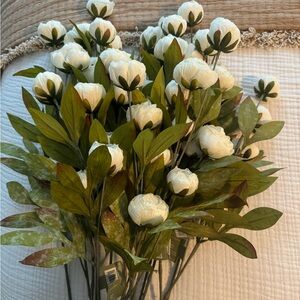 Ashland Peony Stems